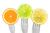 orange lime and lemon slices isolated