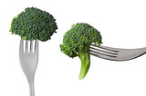 raw broccoli on forks isolated against white background