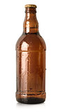 Beer in a brown bottle isolated