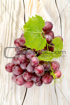 Blue grapes on the table
