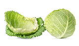 Cabbage leaves and cabbage