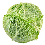 Cabbage top view
