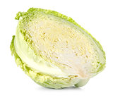 Cross section of savoy cabbage