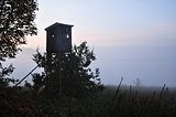Hunting tower in the field