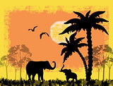 African safari theme with elephants 