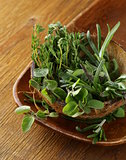 various herbs spices (rosemary, thyme, oregano)