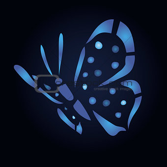 Blue butterfly on black background