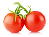 ripe tomatos