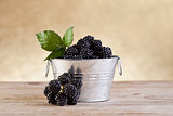 Small bucket with fresh blackberries