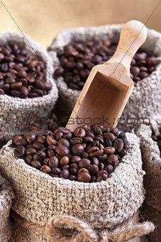 Roasted coffee beans in burlap sacks