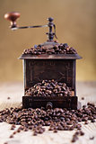 Old grinder with coffee beans