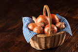 Onion basket