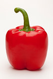 single sweet red pepper