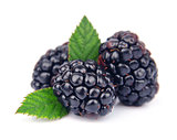 Sweet blackberry fruit