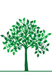 Illustration of a green tree