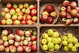 Closeup of various apple fruits