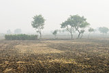 Foggy cultivated plowed fields 