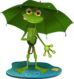 Frog with a green umbrella