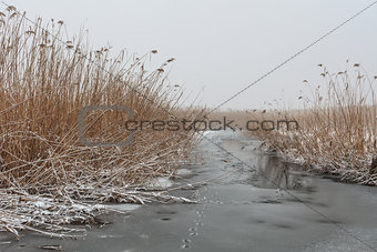 Comana Lake in winter
