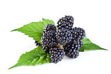 Fresh blackberry with leaves