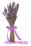 Lavender Herb Flowers