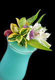 Alcohol drink, cocktail with flower, isolated 