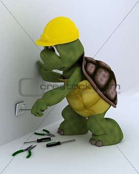 tortoise electrical contractor