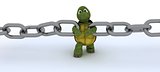 tortoise with a chain