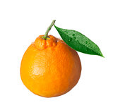 isolated fruit on white,an orange