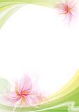 Vector Flowers Background