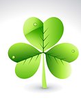 abstract glossy green clover
