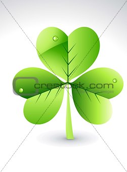 abstract glossy green clover