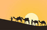 Caravan with camels in desert 