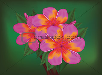 Vector branch of tropical pink flowers 
