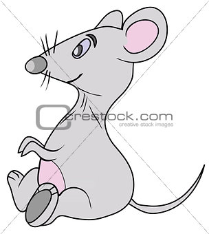 the grey mouse with pink belly