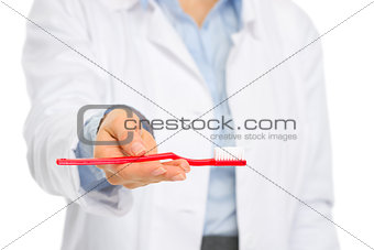 Closeup on toothbrush in hands of medical dental doctor