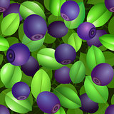 Seamless blueberries pattern