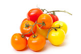 Multicolored Ripe Fresh Tomatoes