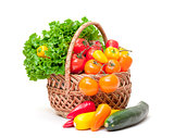 Mixed Fresh Vegetables in Basket