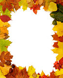 Frame of Autumn Leaves