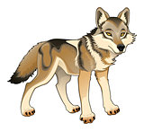 Wolf. Vector isolated character