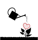 water can  watering plant with heart