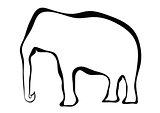 Elephant frame