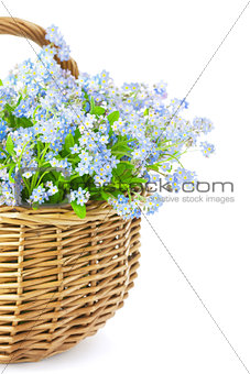 Bouquet of spring flowers in basket isolated on white background