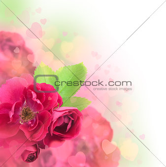 Valentine's Day or Wedding Card with Soft Hearts Background 