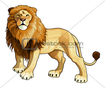 Lion king.