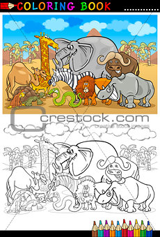 safari wild animals cartoon for coloring book