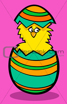 chick in easter egg cartoon illustration