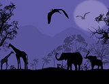 African wildlife at sunset
