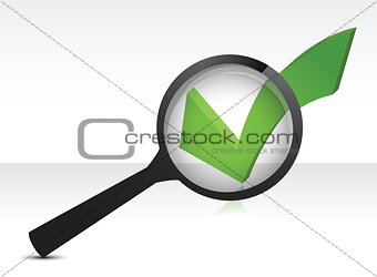 green checkmark and magnifying glass